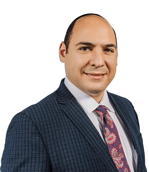 Ariel S. Holzer attorney photo